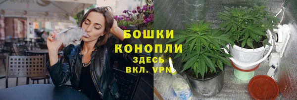 спайс Костерёво